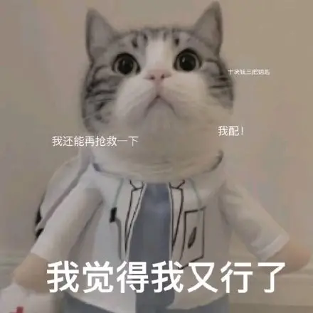 【Paddle打比赛】百度网盘AI大赛-图像处理挑战赛文档检测优化赛ONNX方案 - 创想鸟