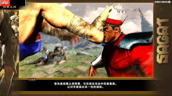 《街霸6》沙加特官方角色指南!泰拳强者恐怖如斯!
