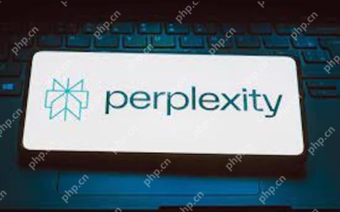 Perplexity AI的提问格式有限制吗 Perplexity AI输入太长会报错吗