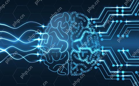 multimodal AI如何处理视频输入 multimodal AI支持的视频格式有哪些