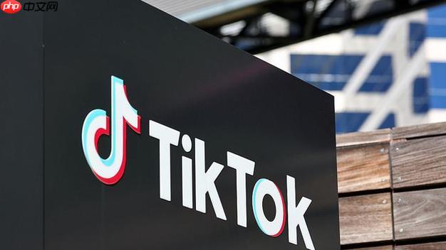 TikTok广告开户0门槛实操!资料准备+审核高效通过,快速下号指南
