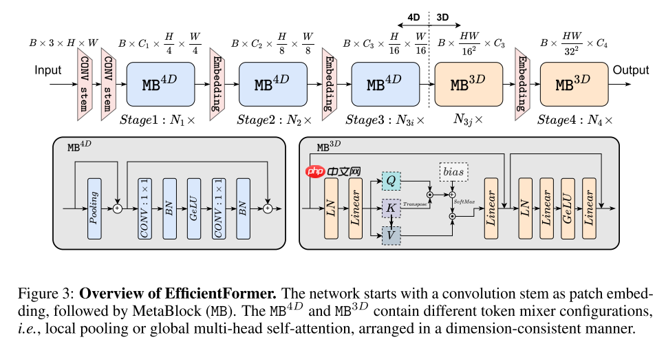 EfficientFormer: 速度上可以与MobileNet媲美的ViT