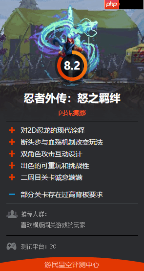 《忍者龙剑传外传：怒之羁绊》IGN打9分！太优秀 让人超满意