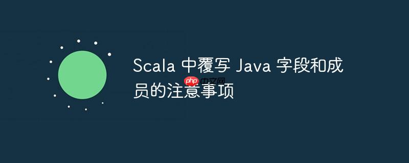 scala 中覆写 java 字段和成员的注意事项