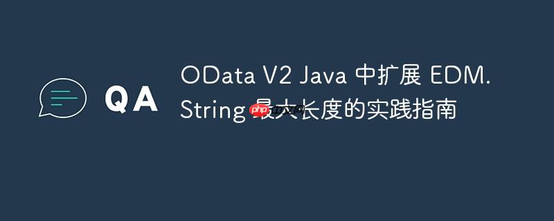 OData V2 Java 中扩展 EDM.String 最大长度的实践指南