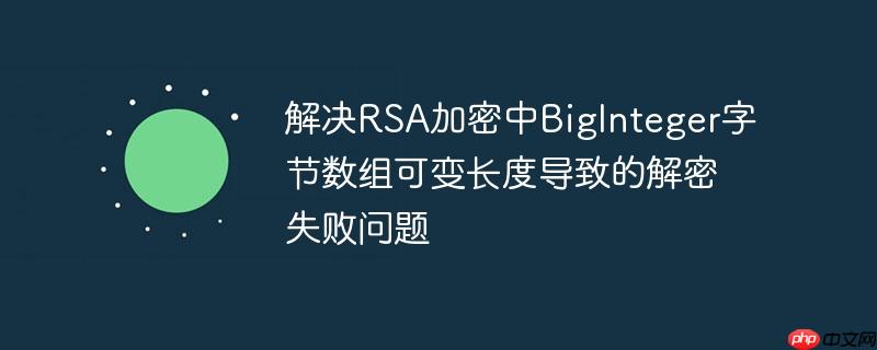 解决RSA加密中BigInteger字节数组可变长度导致的解密失败问题