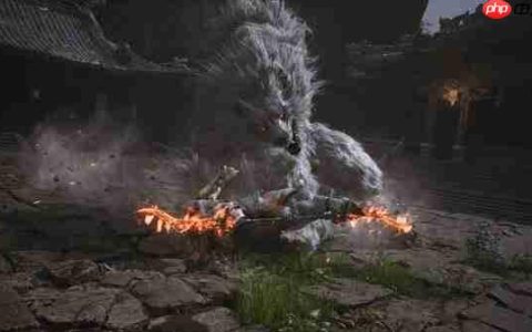 《黑神话：悟空》收费Mod被玩家吐槽：最贵要666元