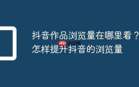 抖音作品浏览量在哪里看？怎样提升抖音的浏览量