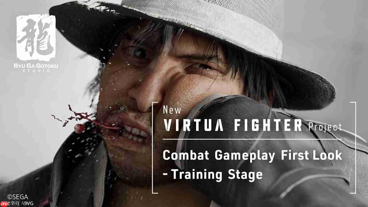 如龙工作室开发《VR战士》系列新作对战演示影片首次公开