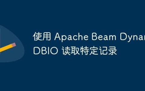 使用 Apache Beam DynamoDBIO 读取特定记录