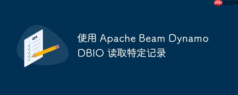 使用 apache beam dynamodbio 读取特定记录