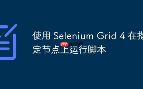 使用 Selenium Grid 4 在指定节点上运行脚本