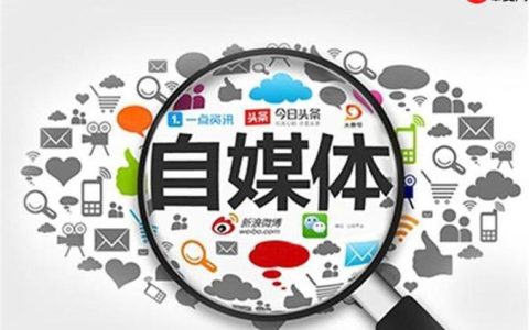 蝴蝶号如何开通付费专栏 蝴蝶号内容变现的高级玩法