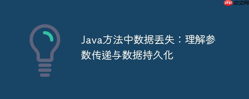 Java方法中数据丢失：理解参数传递与数据持久化