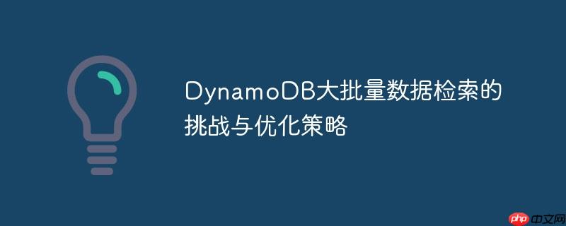 dynamodb大批量数据检索的挑战与优化策略