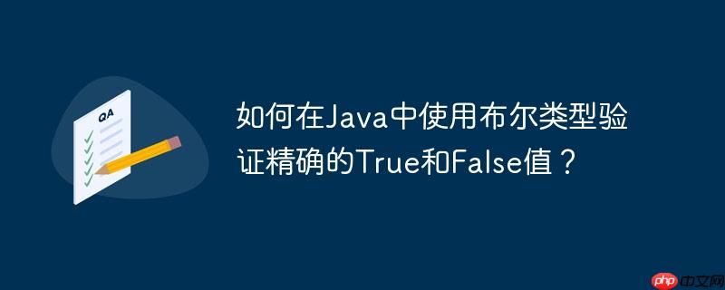 如何在java中使用布尔类型验证精确的true和false值?