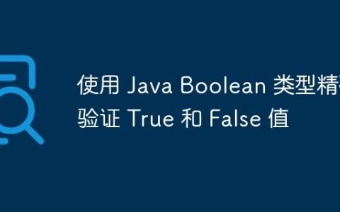 使用 Java Boolean 类型精确验证 True 和 False 值