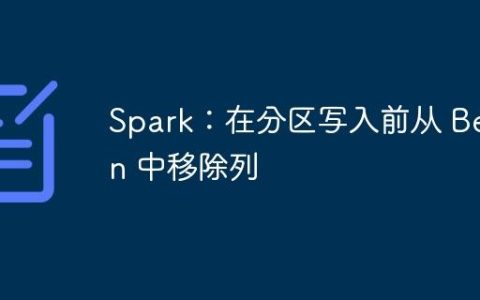 Spark：在分区写入前从 Bean 中移除列