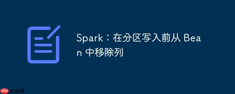 spark:在分区写入前从 bean 中移除列