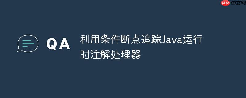 利用条件断点追踪java运行时注解处理器