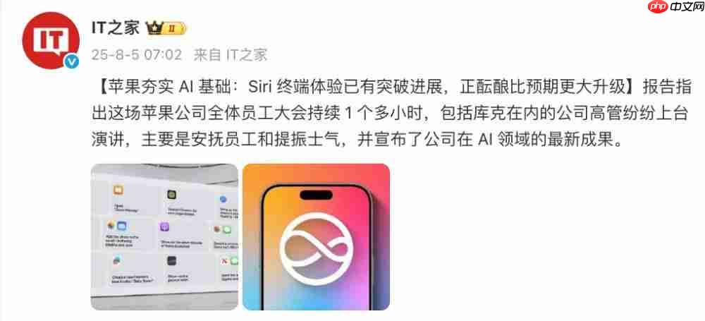 苹果 AI 今年能上吗