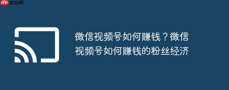 微信视频号如何赚钱?微信视频号如何赚钱的粉丝经济