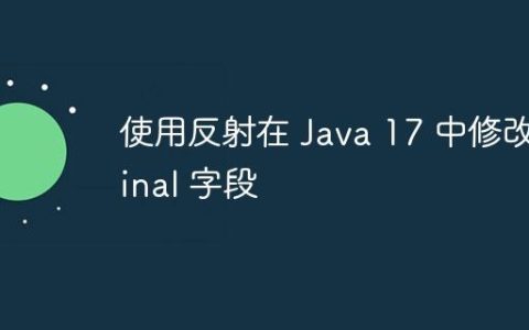 使用反射在 Java 17 中修改 final 字段