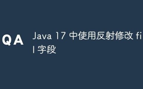 Java 17 中使用反射修改 final 字段