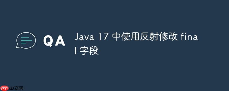 java 17 中使用反射修改 final 字段