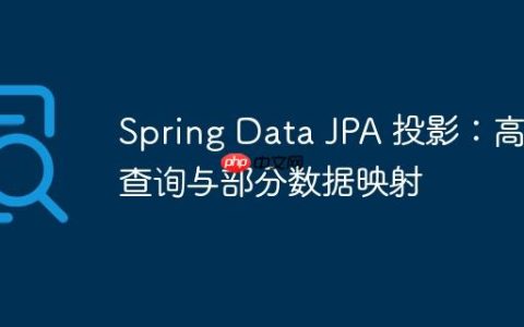 Spring Data JPA 投影：高效查询与部分数据映射