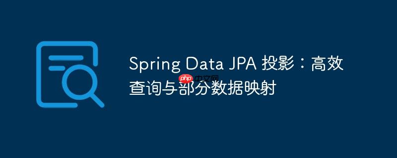 Spring Data JPA 投影:高效查询与部分数据映射