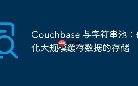 Couchbase 与字符串池：优化大规模缓存数据的存储