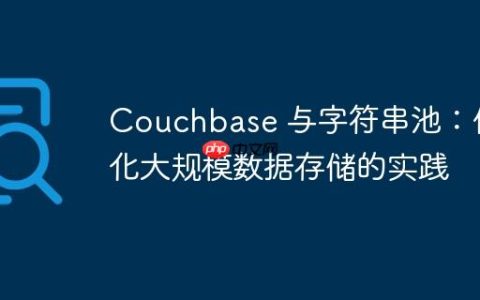 Couchbase 与字符串池：优化大规模数据存储的实践