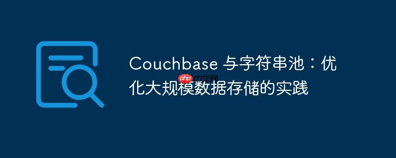 couchbase 与字符串池:优化大规模数据存储的实践