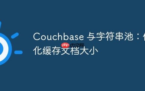 Couchbase 与字符串池：优化缓存文档大小