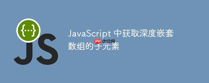 javascript 中获取深度嵌套数组的子元素