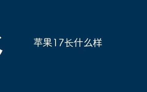 苹果17长什么样