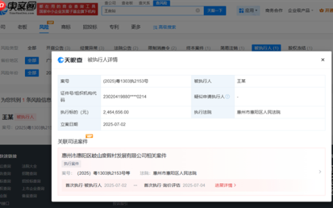 进军AI领域二次创业后 王自如再成被执行人 执行标的超246万