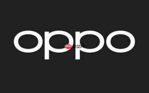 上半年国内3000-4000元手机市场份额出炉：OPPO第一
