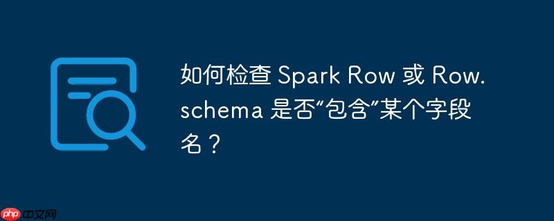 如何检查 spark row 或 row.schema 是否“包含”某个字段名?
