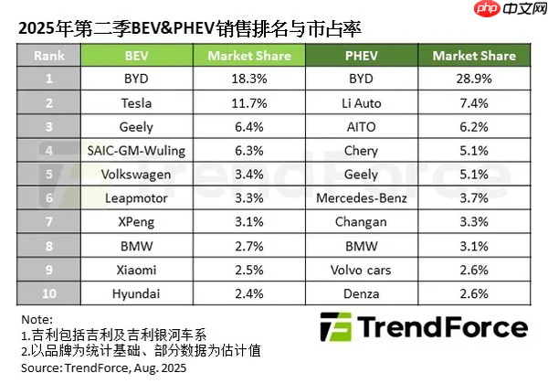 Q2全球纯电车型销量大增39%!特斯拉占11.7%排第二