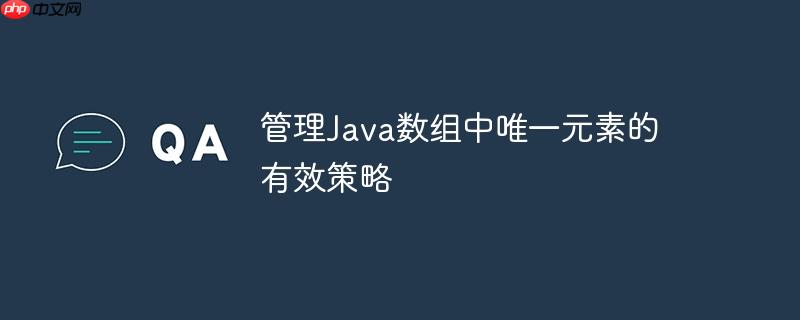 管理java数组中唯一元素的有效策略