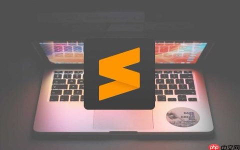 Sublime构建简单用户权限控制系统_从中间件到角色验证实战