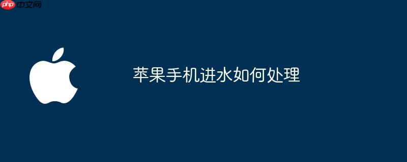 苹果手机进水如何处理