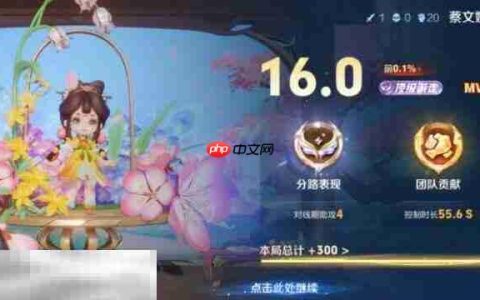 王者荣耀顶级游走称号怎么获得 顶级游走评分标准介绍