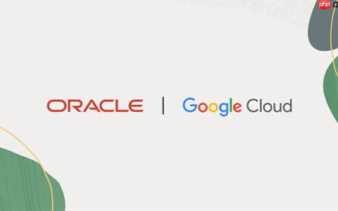 Oracle将为客户提供GoogleGemini 模型，助力企业加速AgenticAI 之旅