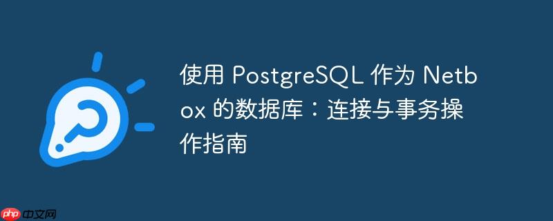 使用 postgresql 作为 netbox 的数据库:连接与事务操作指南