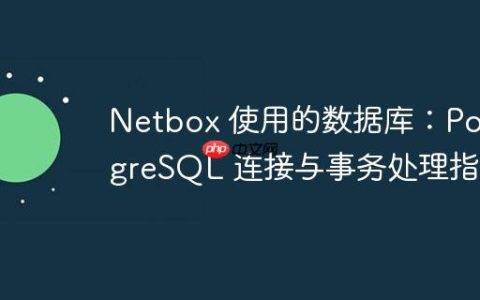 Netbox 使用的数据库：PostgreSQL 连接与事务处理指南