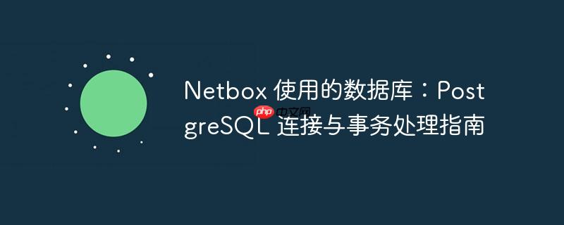 netbox 使用的数据库:postgresql 连接与事务处理指南