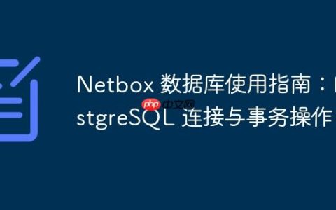 Netbox 数据库使用指南：PostgreSQL 连接与事务操作